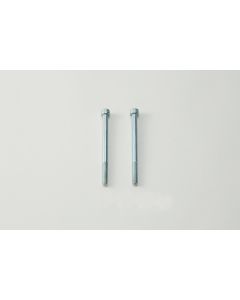 Monoblock Caliper Bolts (2 pcs) 